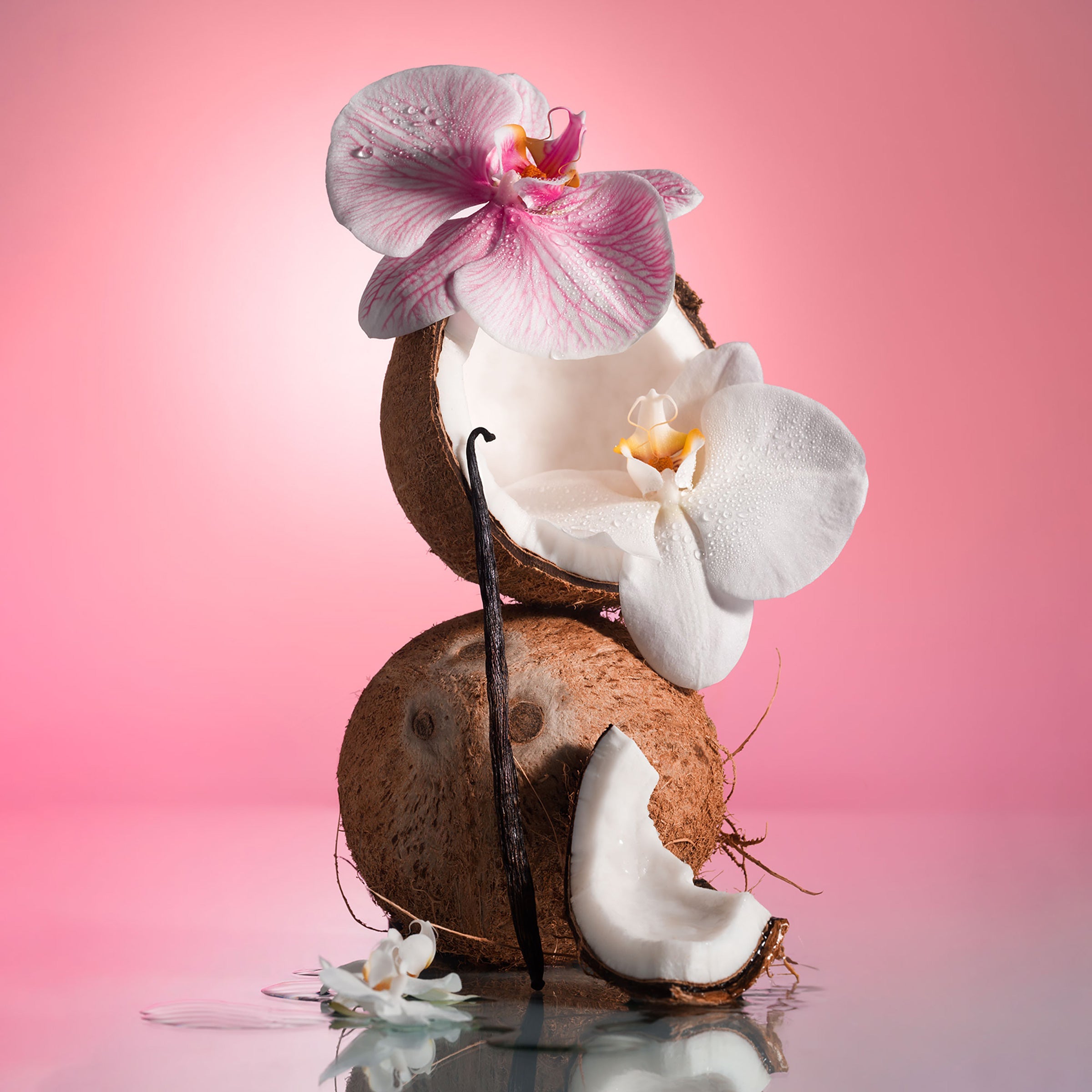 Pink Beach - Body Oil