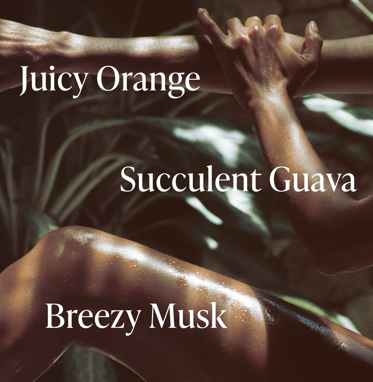 Exotic Pulp - Essentials Set