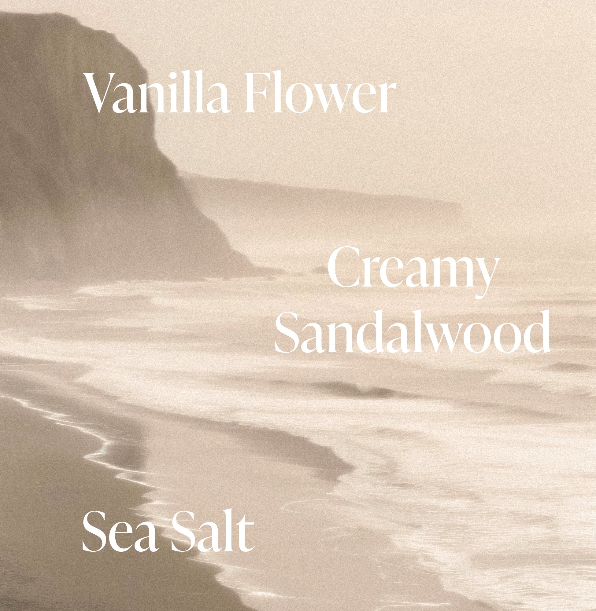 Salt Water Vanilla - Body Lotion