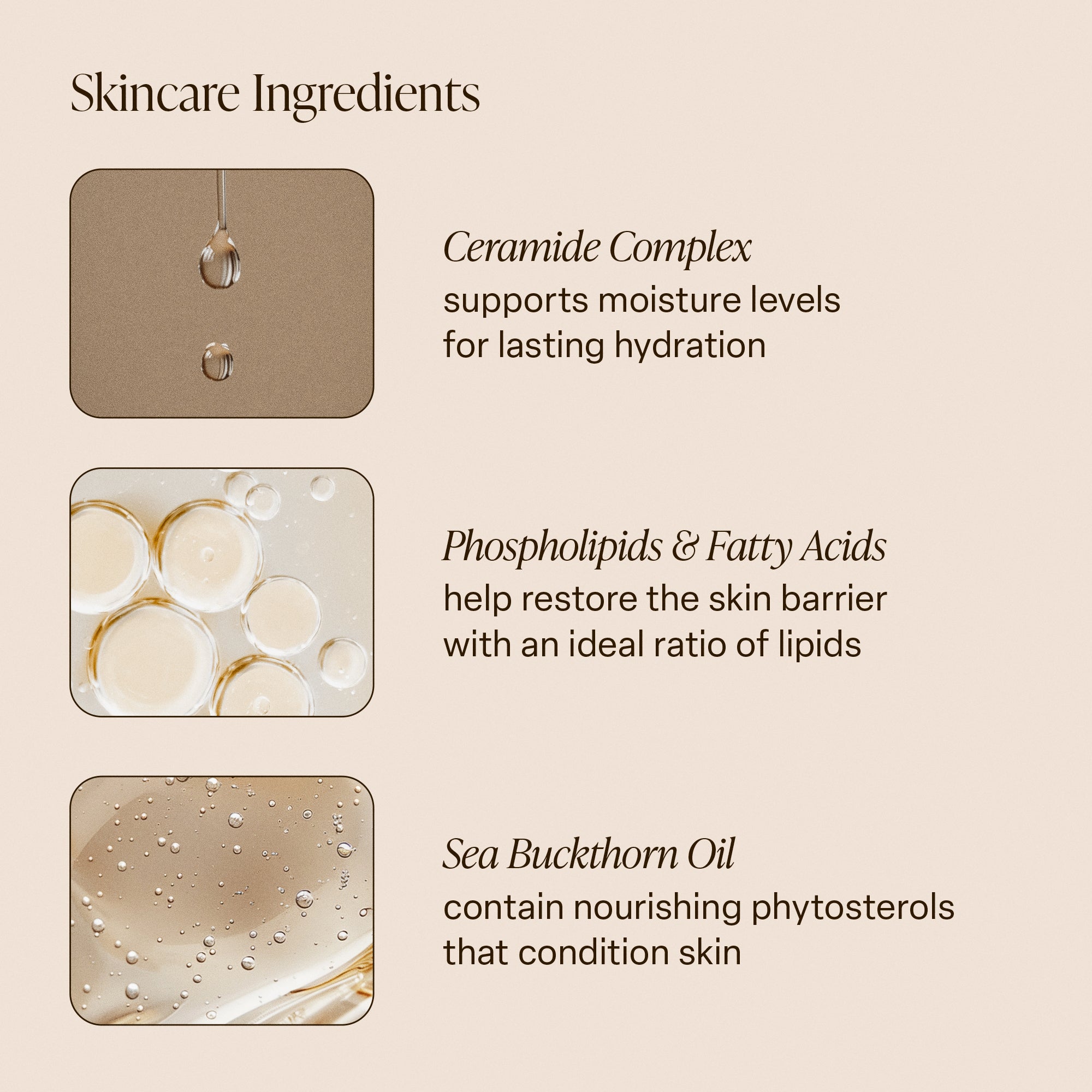 Salt Water Vanilla - Body Butter