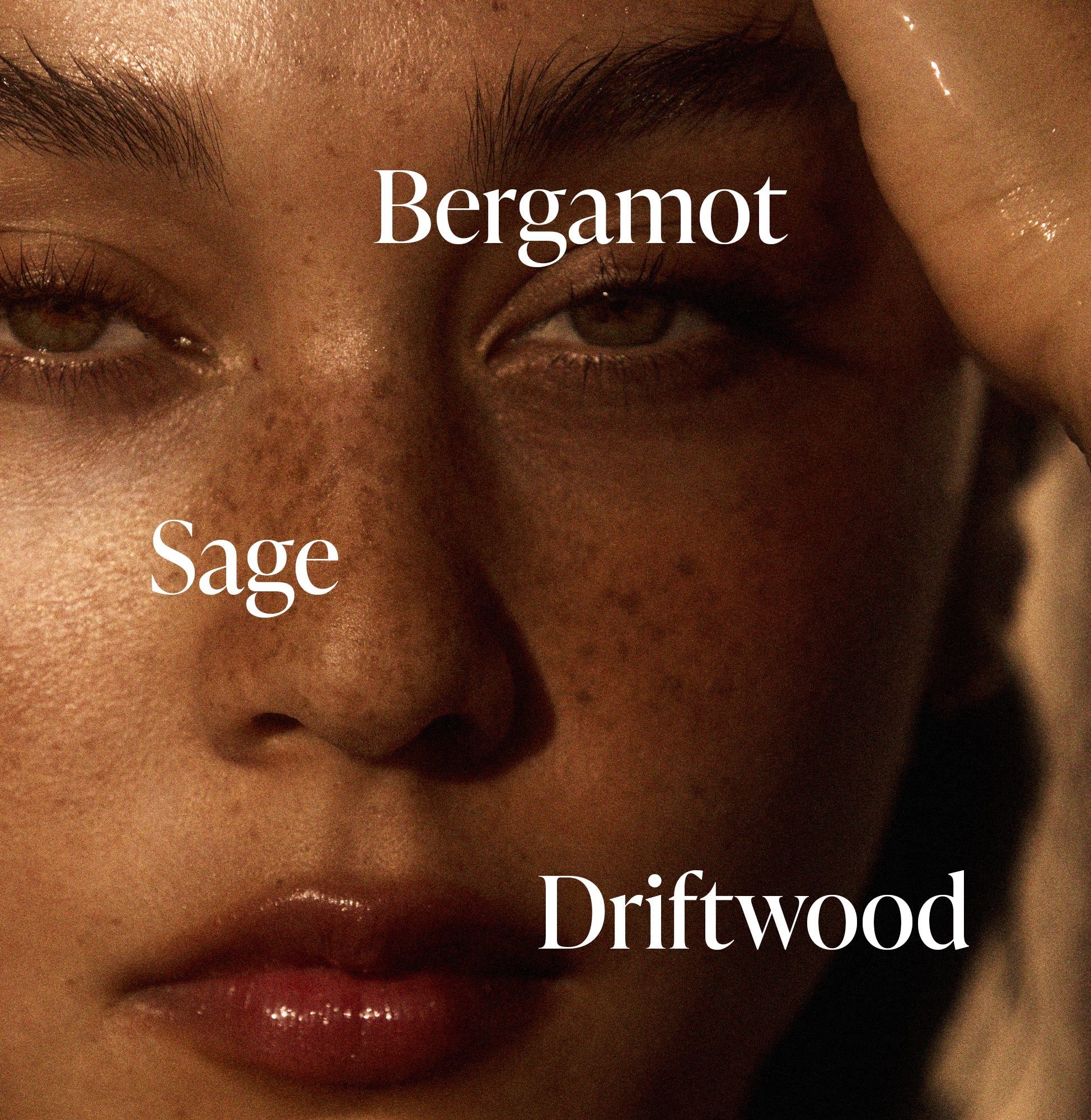 Driftwood - Body Wash