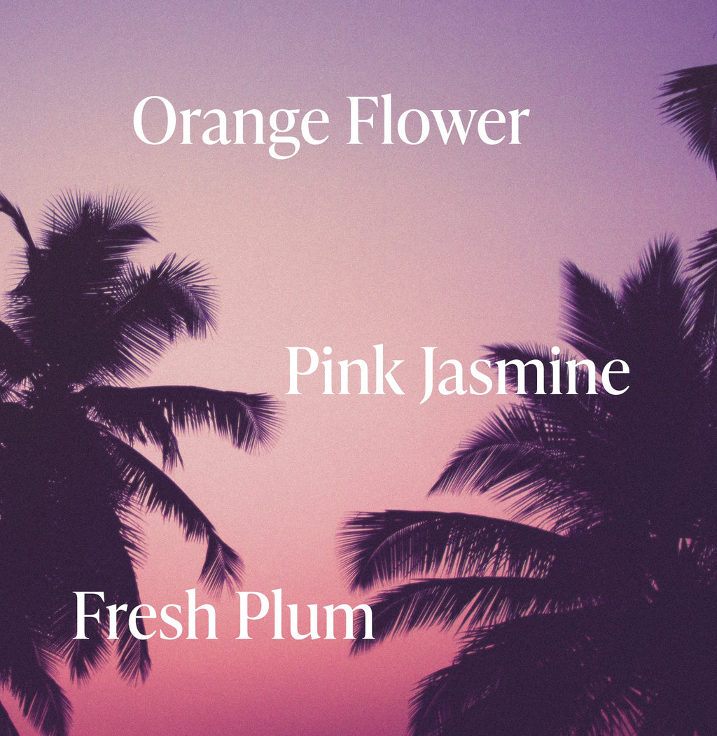 Beach Blonde - Purple Conditioner