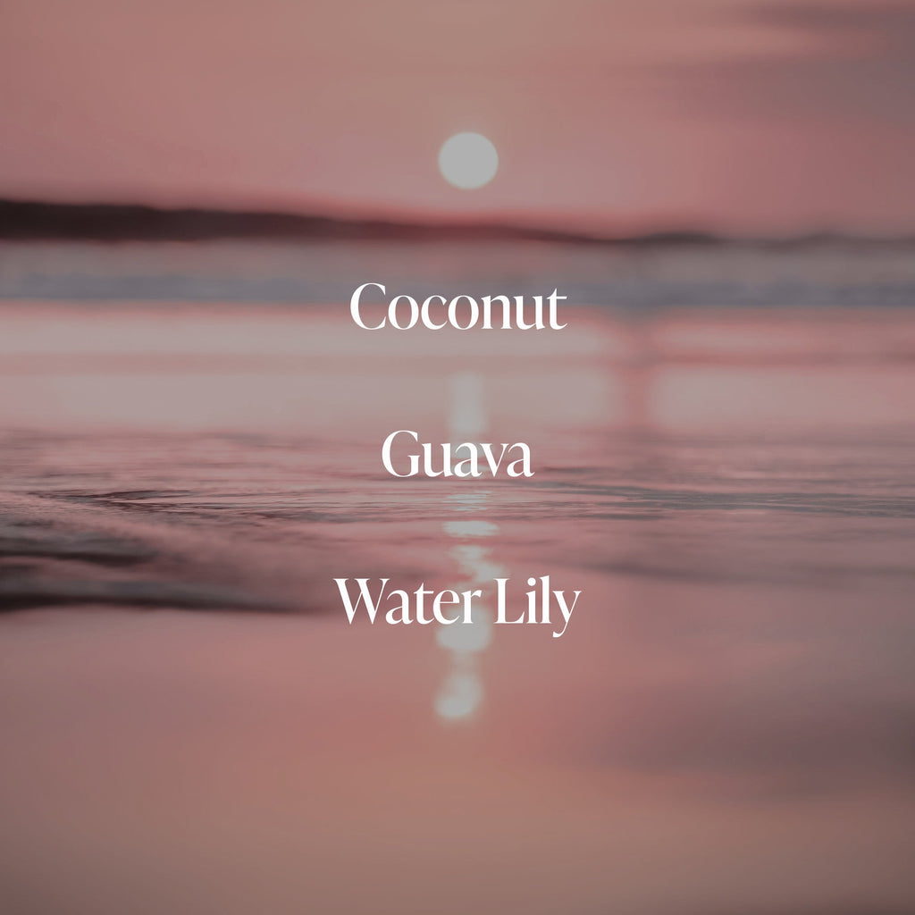 Coral Coast - Body Butter