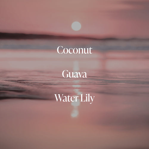 Coral Coast - Body Duo