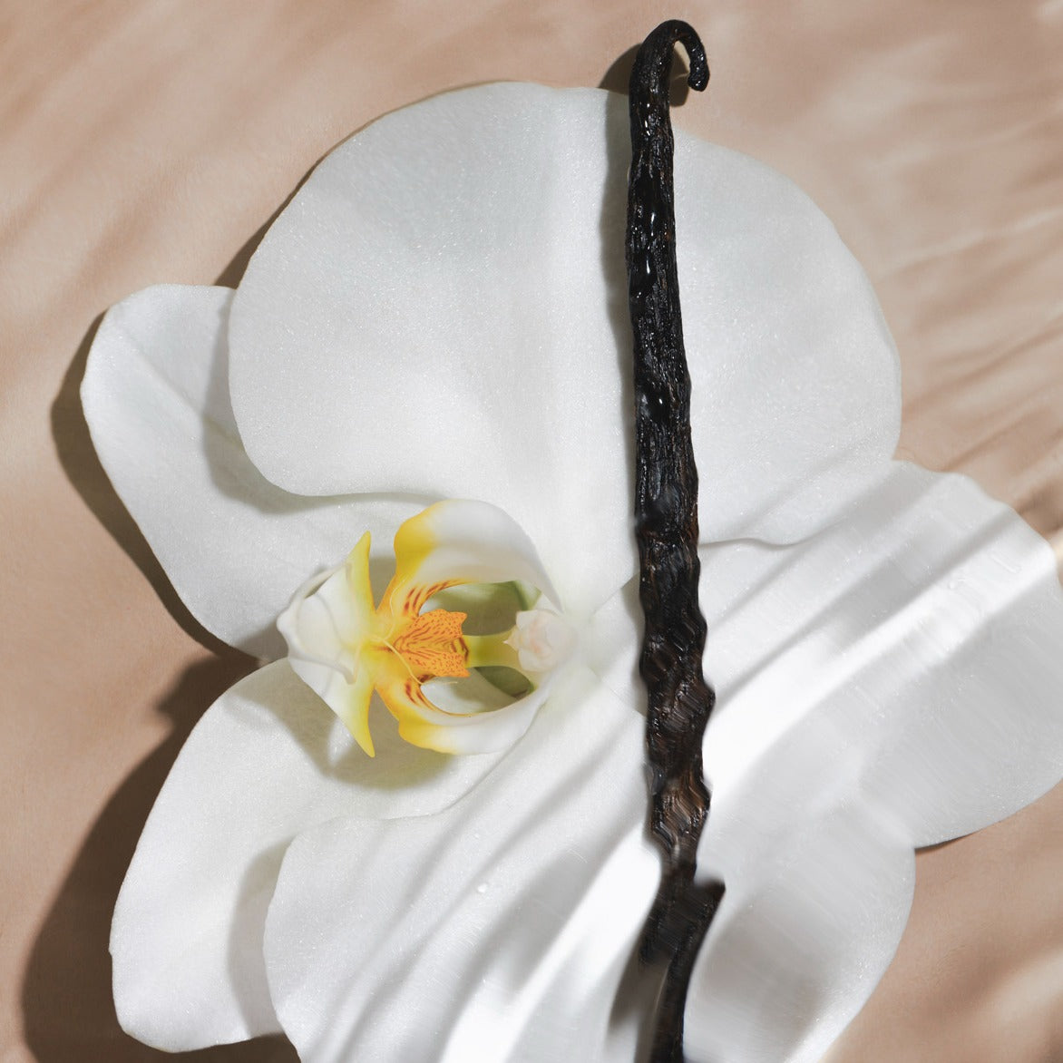 Salt Water Vanilla - Body Rituals Set